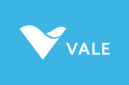 Vale Base Metals Akan Melanjutkan Penerapan Flotasi Partikel Kasar di Salobo guna Meningkatkan …