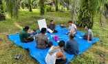 Musim Mas Rampungkan Program Lima Tahun untuk Petani Swadaya di Aceh, Perkuat Mata …