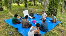 Musim Mas Rampungkan Program Lima Tahun untuk Petani Swadaya di Aceh, Perkuat Mata …