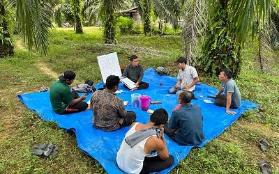 Musim Mas Rampungkan Program Lima Tahun untuk Petani Swadaya di Aceh, Perkuat Mata …